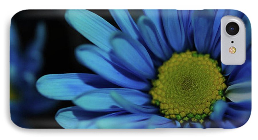 Blue Daisy - Phone Case