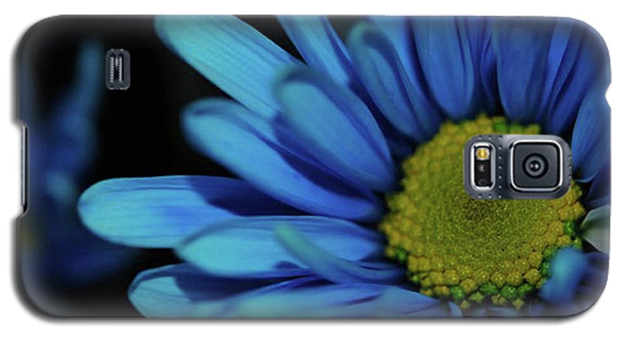 Blue Daisy - Phone Case