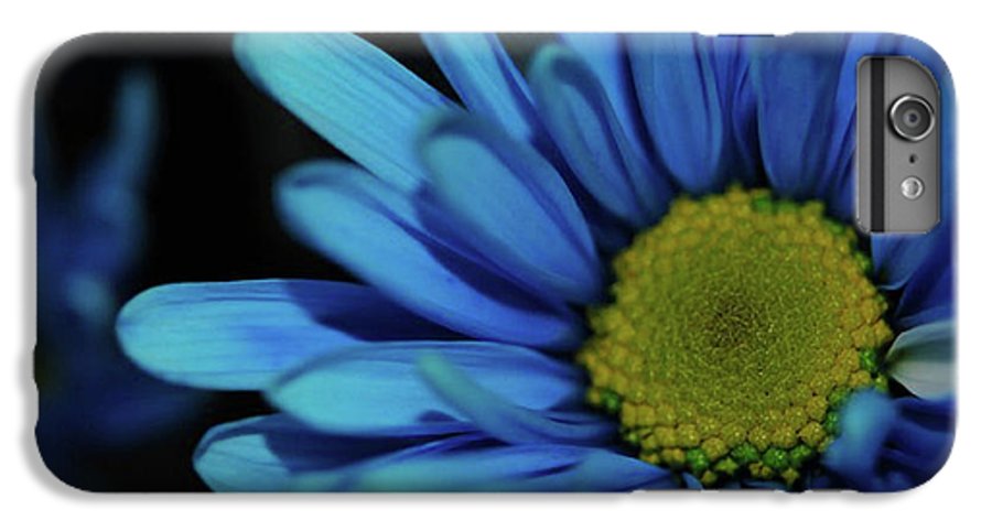 Blue Daisy - Phone Case