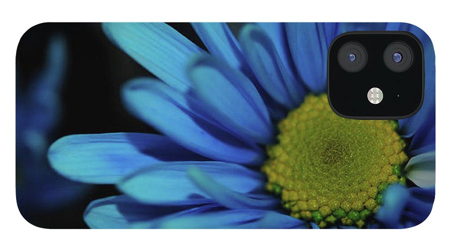 Blue Daisy - Phone Case