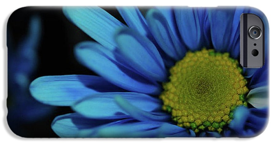 Blue Daisy - Phone Case