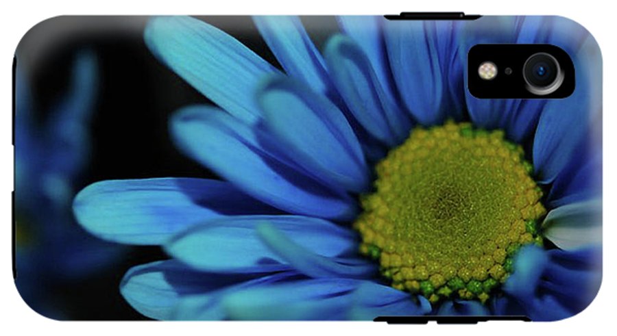 Blue Daisy - Phone Case
