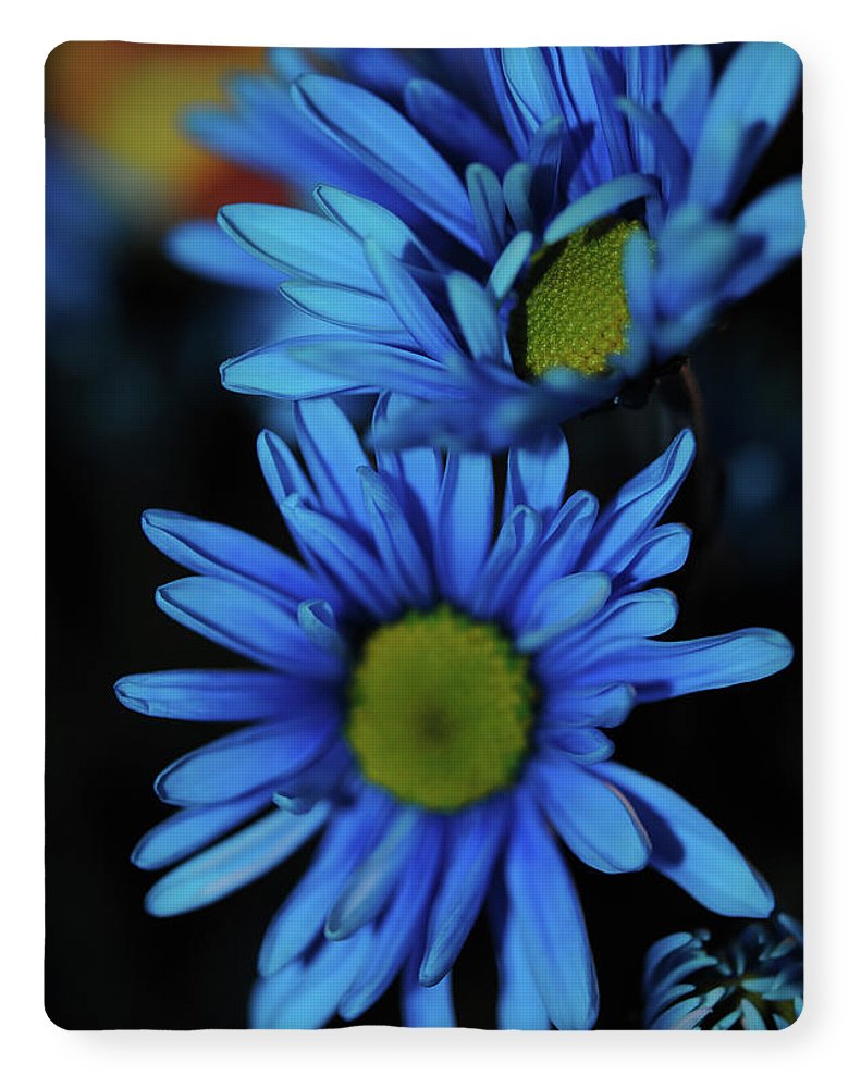 Blue Daisy Vertical - Blanket