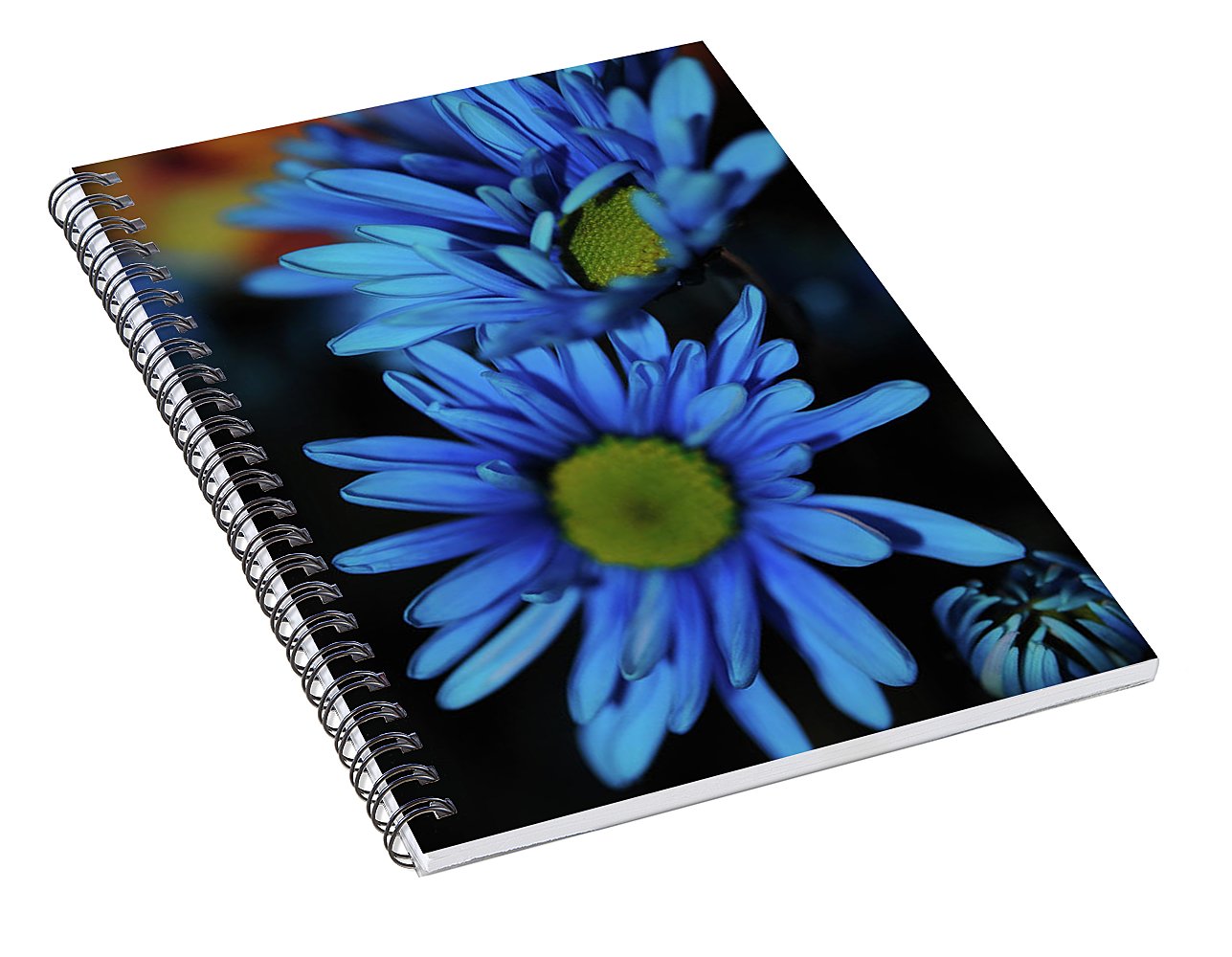 Blue Daisy Vertical - Spiral Notebook