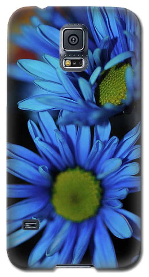 Blue Daisy Vertical - Phone Case