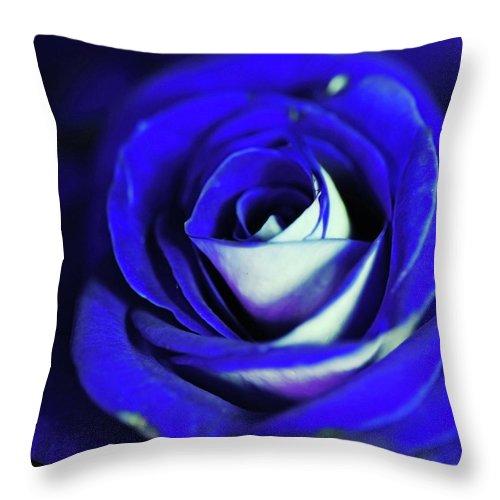 Blue Rose - Throw Pillow