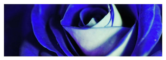 Blue Rose - Yoga Mat