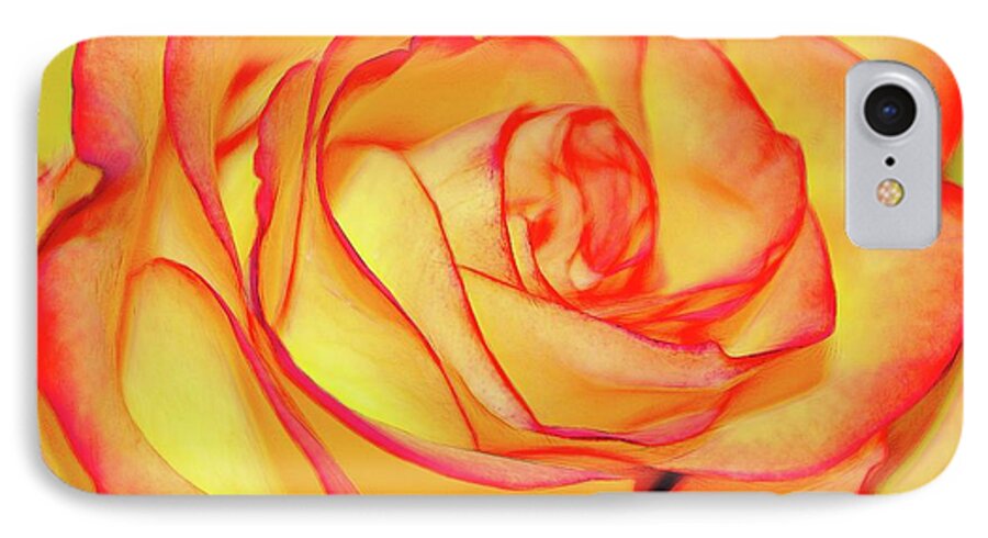 Bright Orange Rose - Phone Case