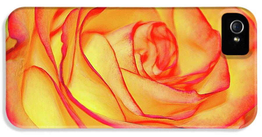 Bright Orange Rose - Phone Case