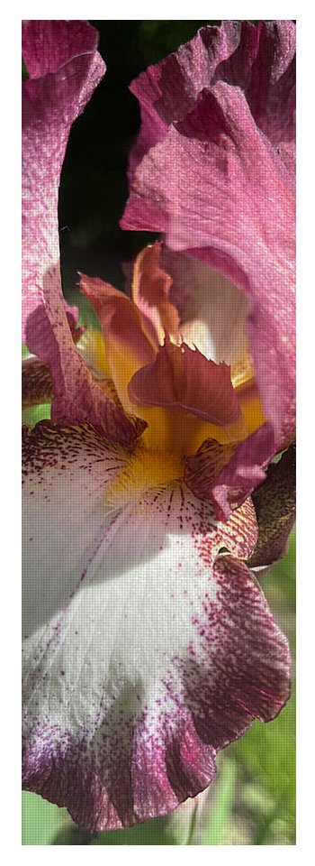 Burgundy iris - Yoga Mat