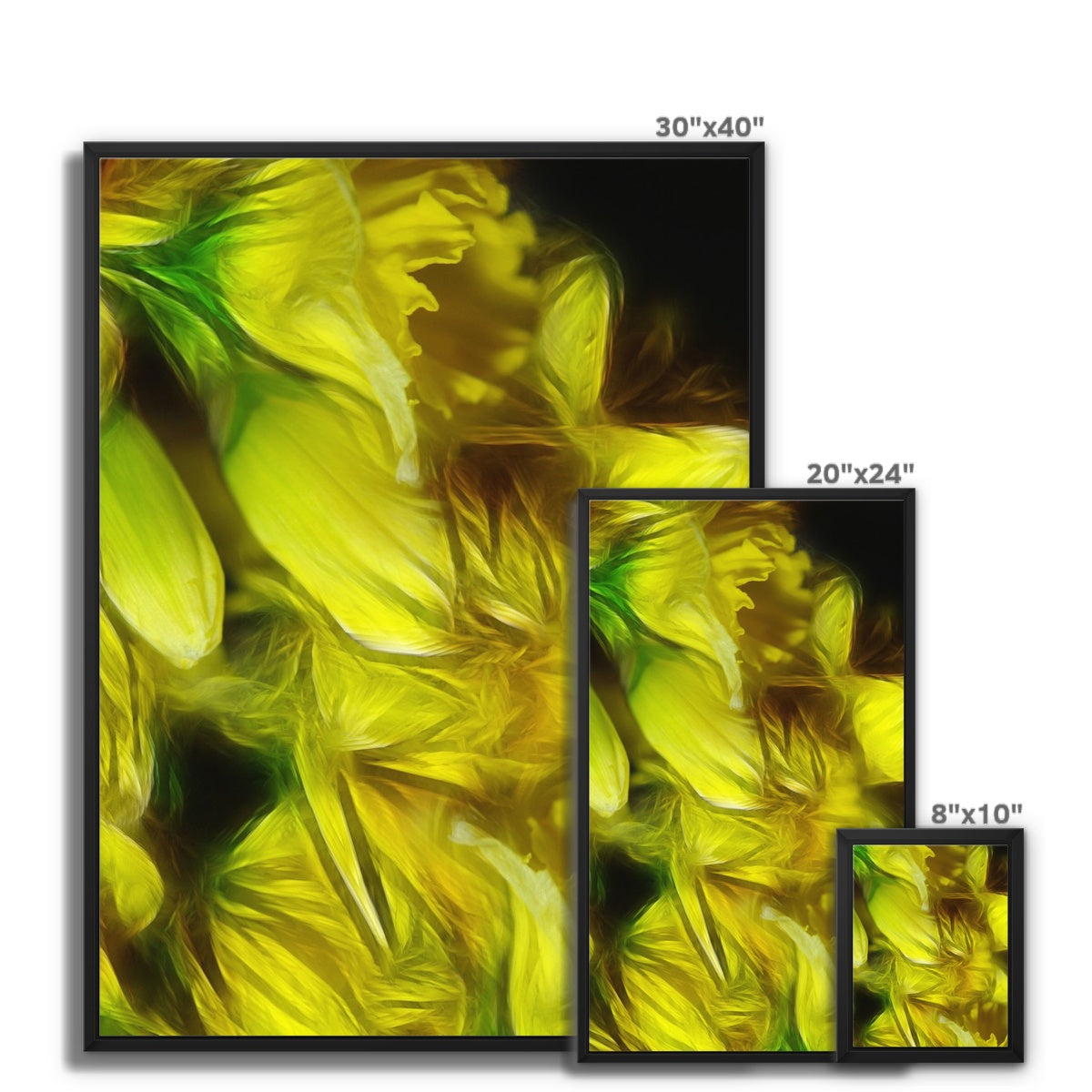 Abstract Yellow Daffodils Framed Canvas