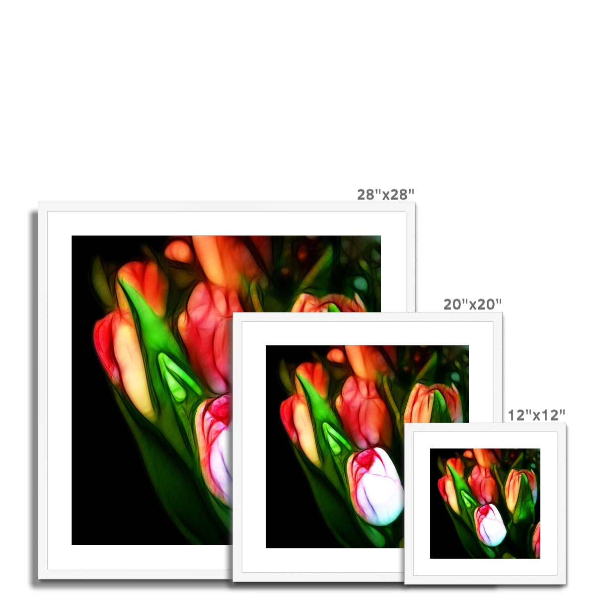 Pink Tulips Framed & Mounted Print