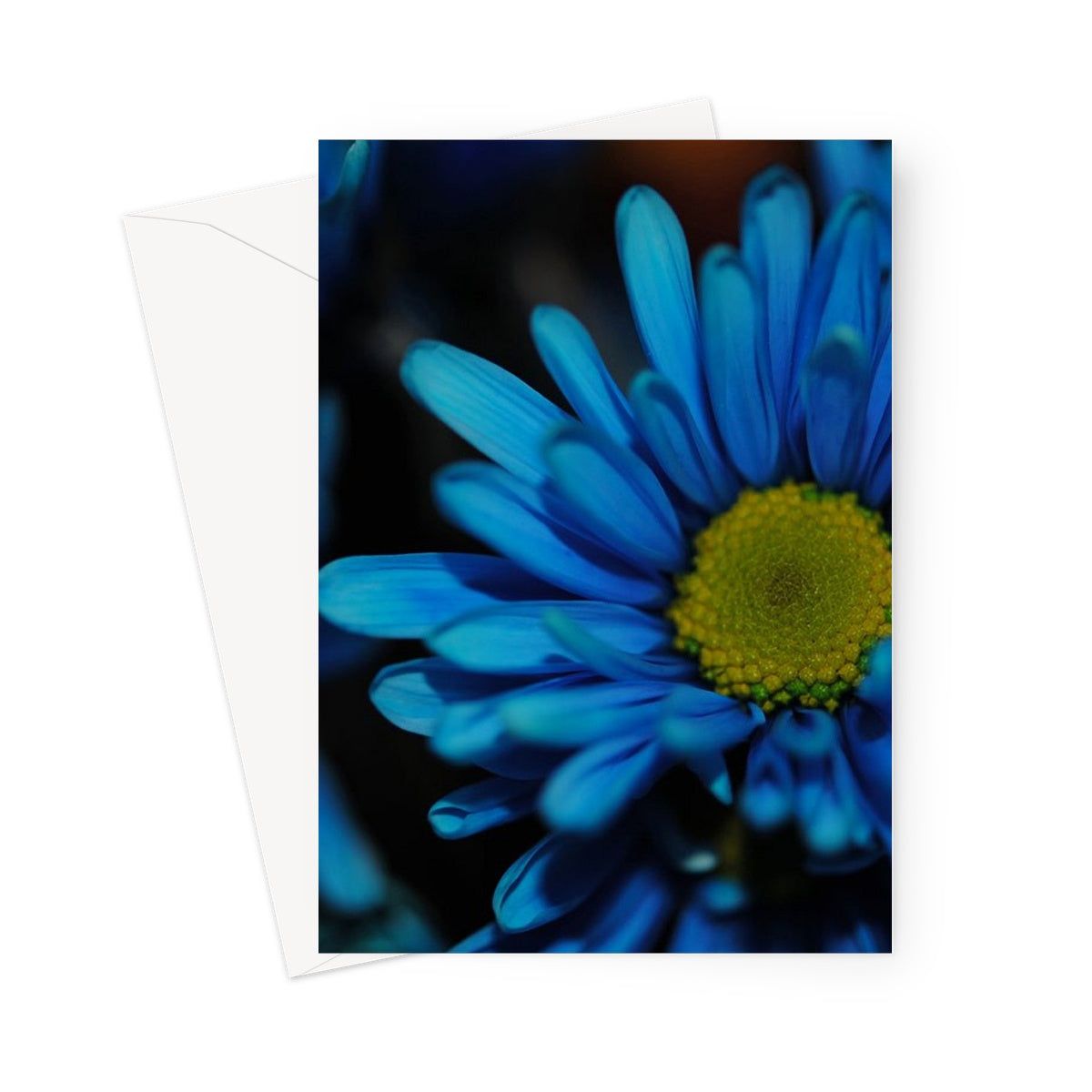 Blue Daisy Greeting Card