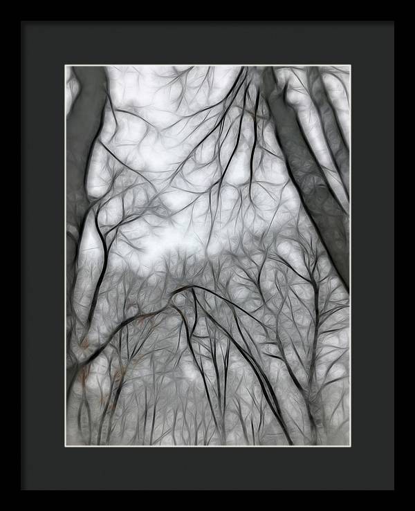Calm Winter - Framed Print