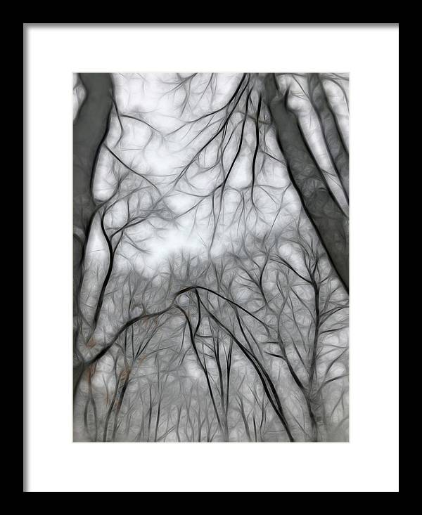 Calm Winter - Framed Print