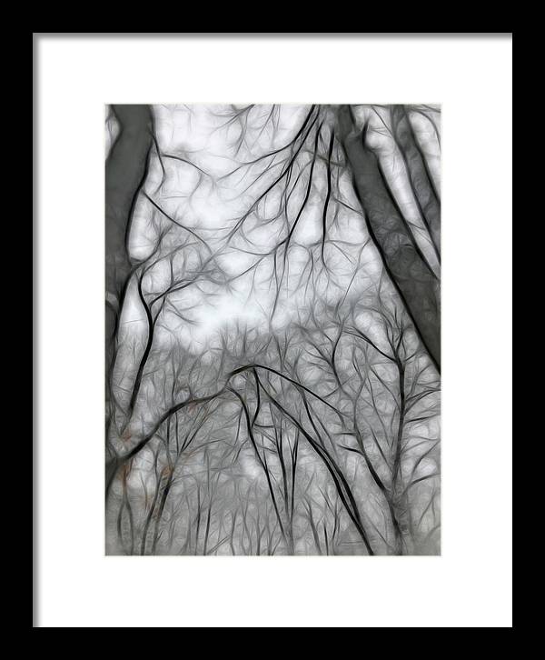 Calm Winter - Framed Print