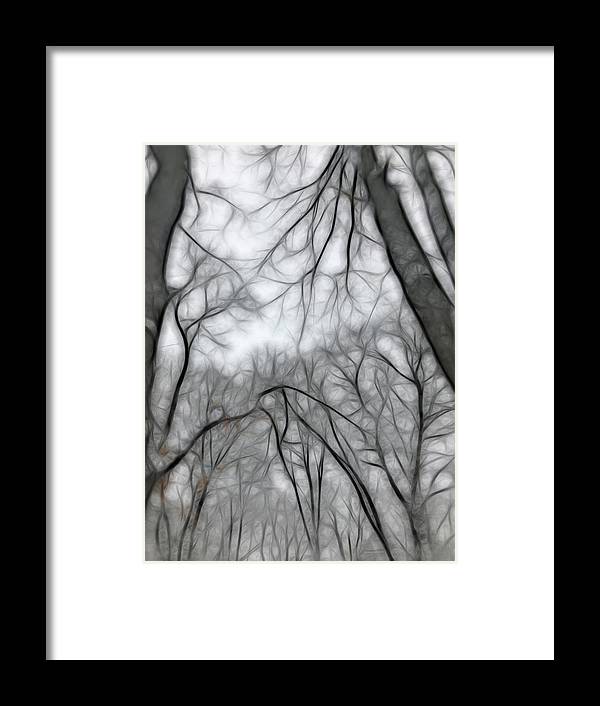 Calm Winter - Framed Print