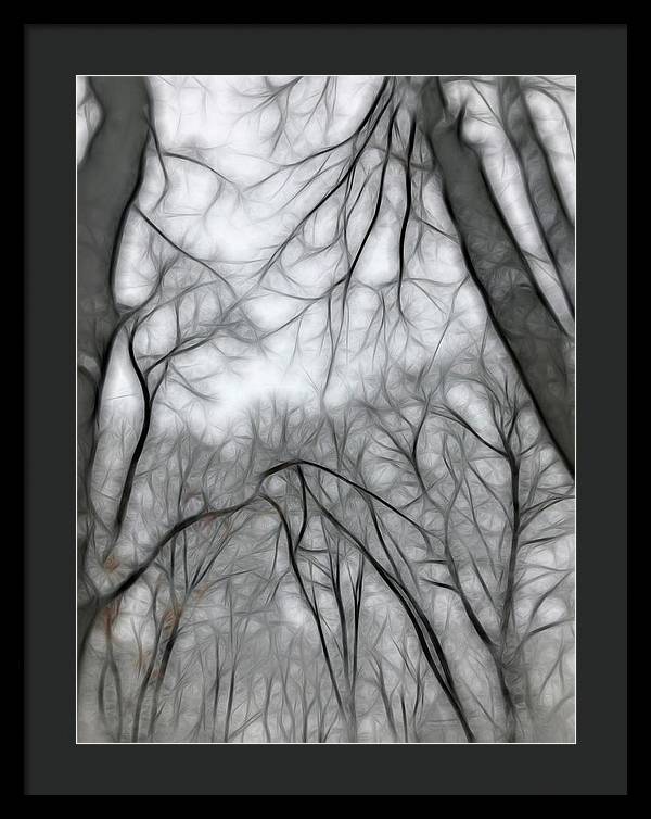 Calm Winter - Framed Print