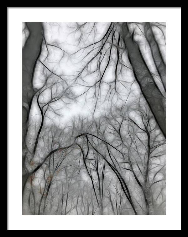 Calm Winter - Framed Print