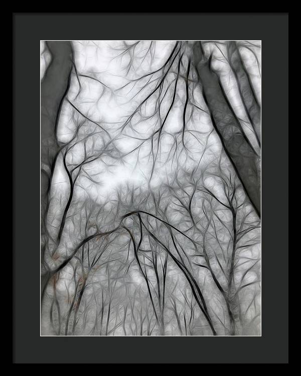 Calm Winter - Framed Print
