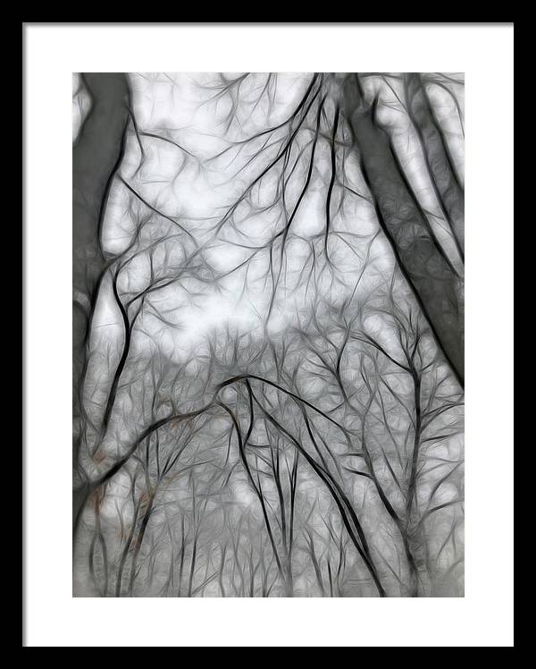 Calm Winter - Framed Print