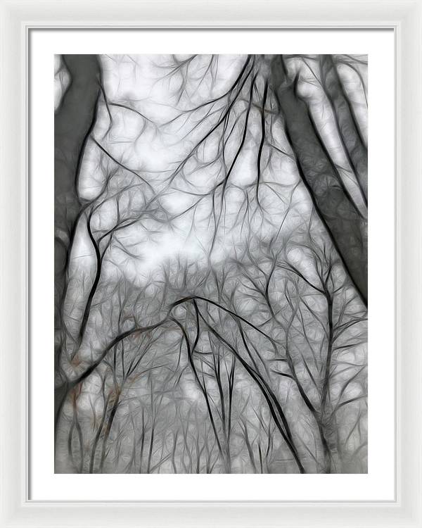 Calm Winter - Framed Print