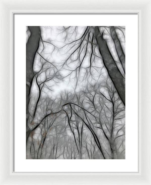 Calm Winter - Framed Print