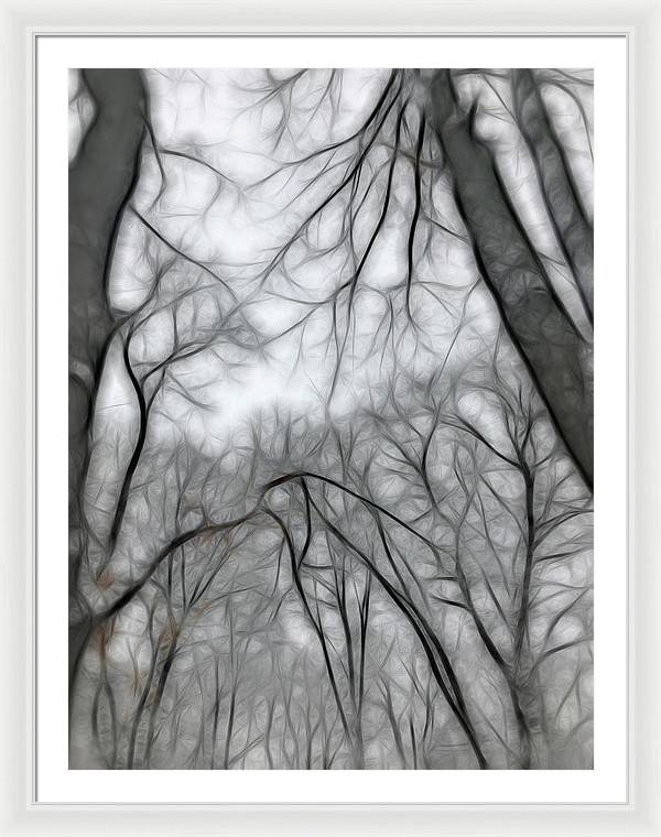 Calm Winter - Framed Print