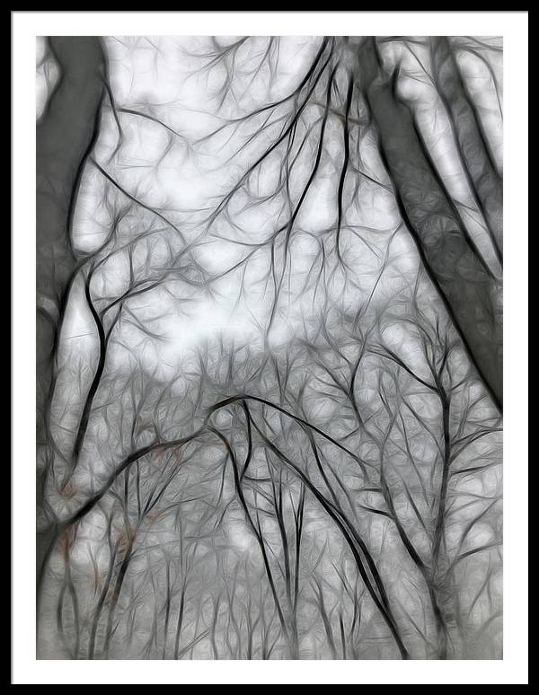 Calm Winter - Framed Print
