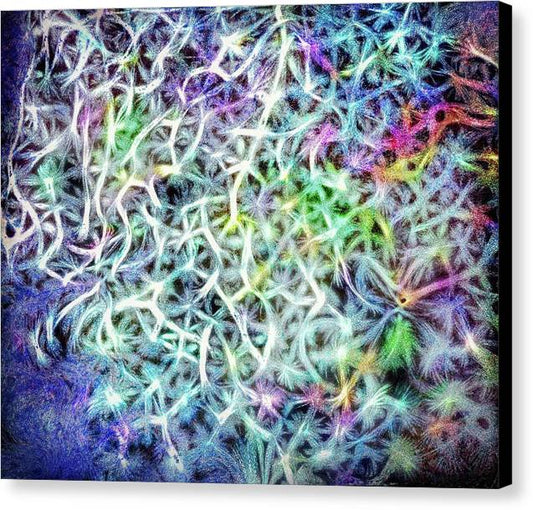 Caressing The Strings Again - Canvas Print