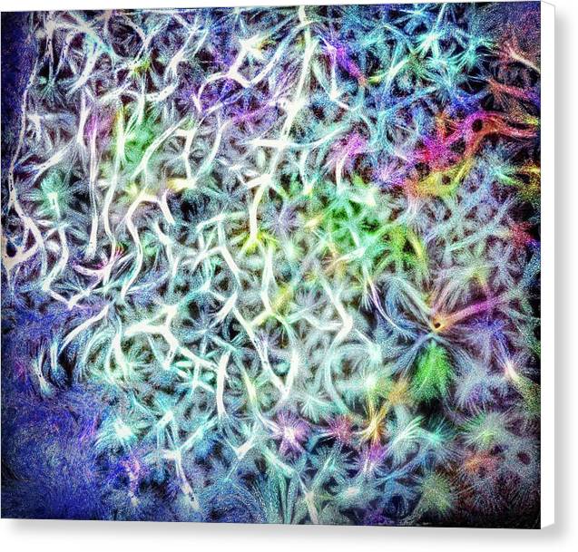 Caressing The Strings Again - Canvas Print