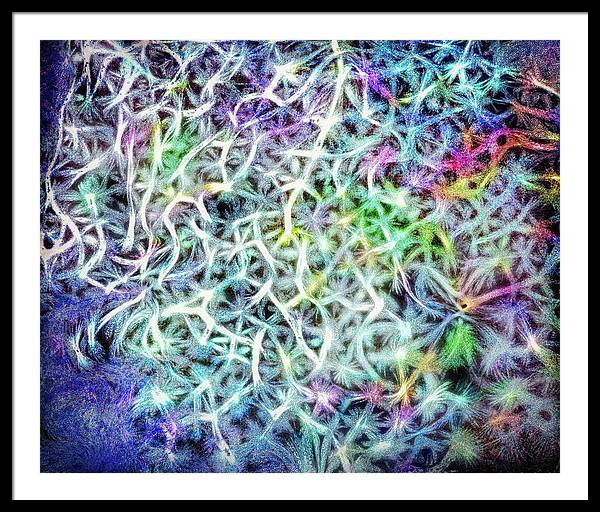 Caressing The Strings Again - Framed Print