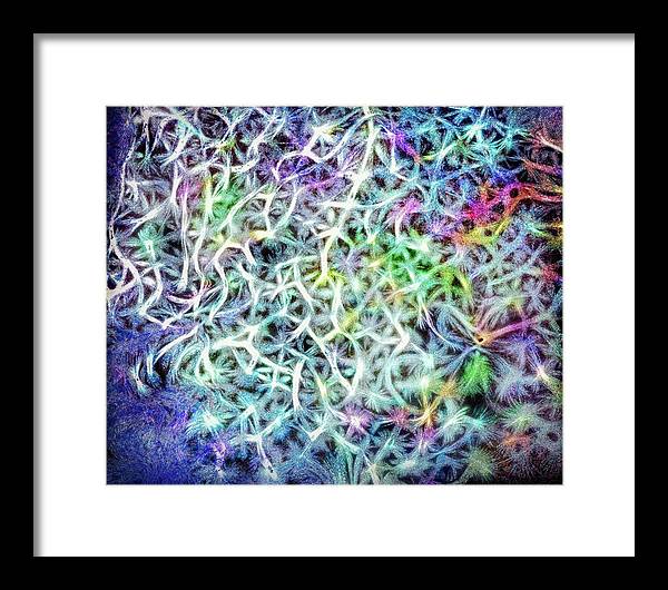 Caressing The Strings Again - Framed Print