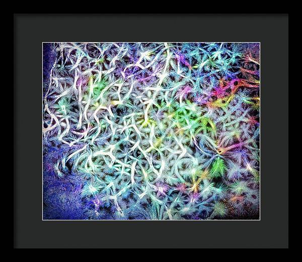 Caressing The Strings Again - Framed Print