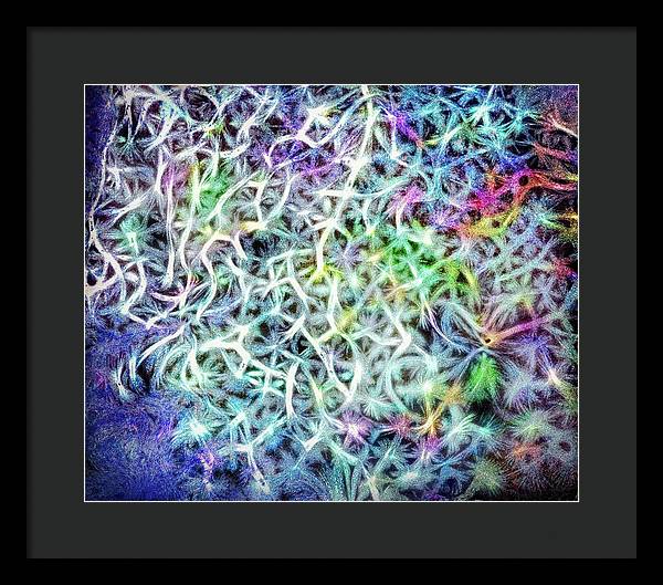 Caressing The Strings Again - Framed Print