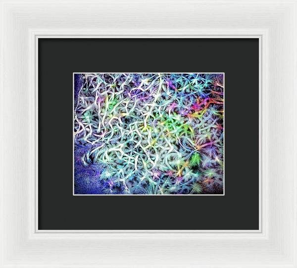 Caressing The Strings Again - Framed Print