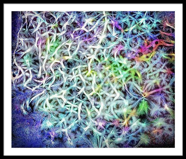 Caressing The Strings Again - Framed Print