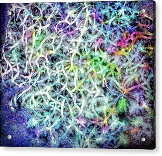 Caressing The Strings Again - Acrylic Print