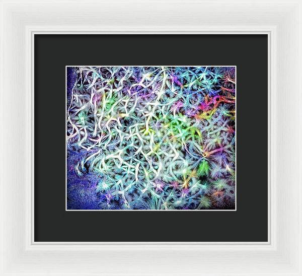 Caressing The Strings Again - Framed Print
