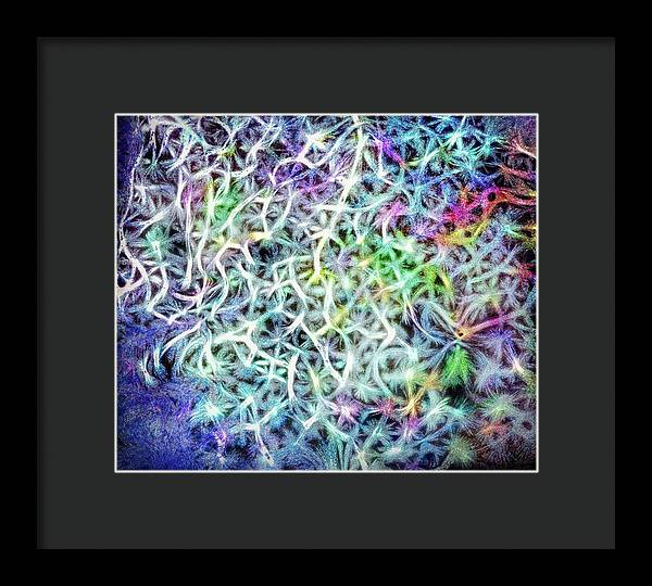 Caressing The Strings Again - Framed Print