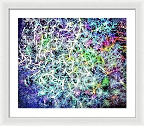 Caressing The Strings Again - Framed Print