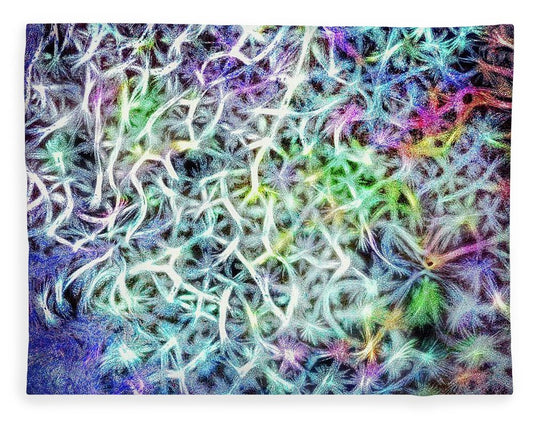 Caressing The Strings Again - Blanket