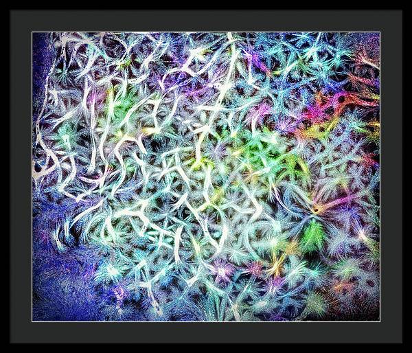 Caressing The Strings Again - Framed Print