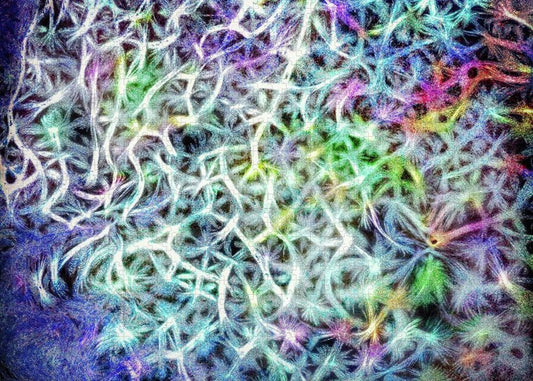 Caressing The Strings Again - Puzzle