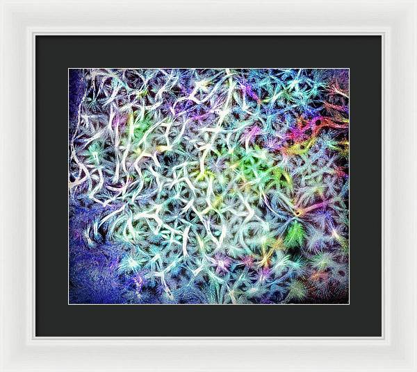 Caressing The Strings Again - Framed Print