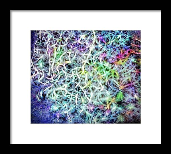Caressing The Strings Again - Framed Print