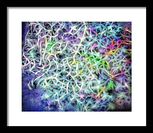 Caressing The Strings Again - Framed Print