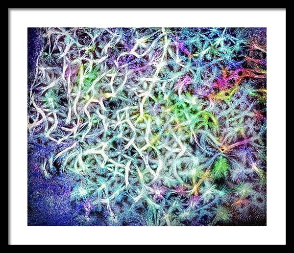 Caressing The Strings Again - Framed Print