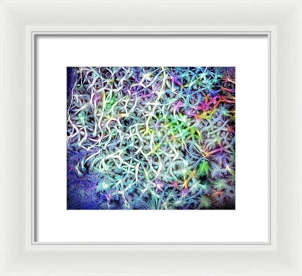 Caressing The Strings Again - Framed Print