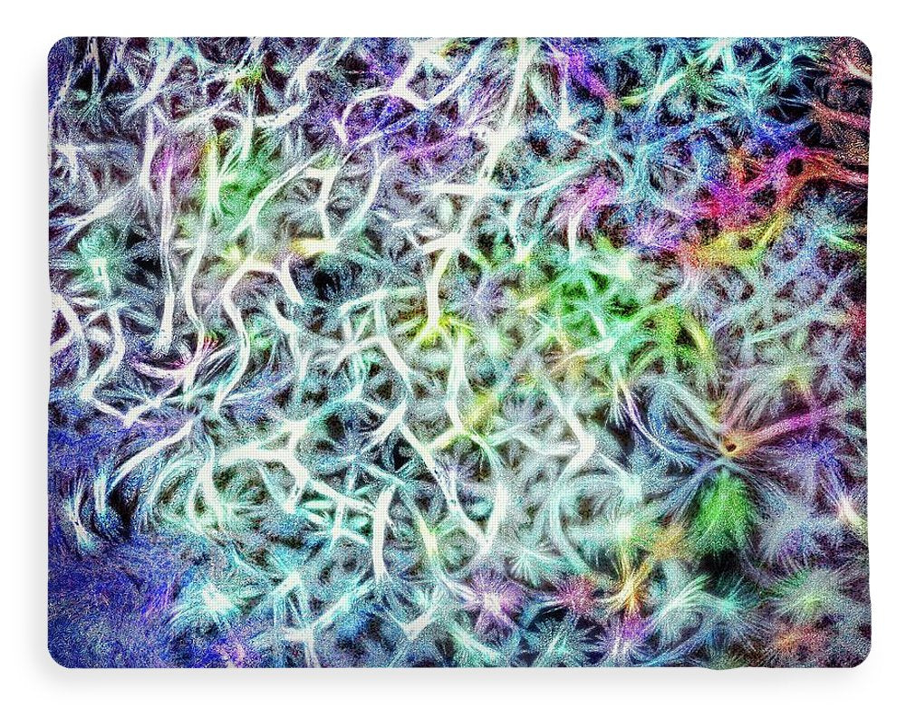 Caressing The Strings Again - Blanket